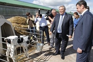 В Ярославском регионе грантовую помощь для фермеров-новичков увеличили до трёх миллионов